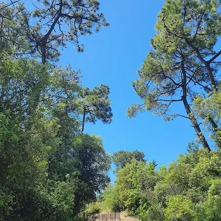Le Cocon De La Dune